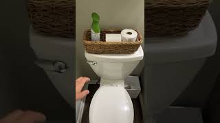 How to Flush an American Standard Toilet [upl. by Roskes429]