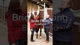 How to check a browband fits  Bridle Fitting BridleFitting Bridle [upl. by Frasch982]