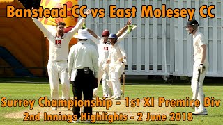 Banstead CC v East Molesey CC  1st XI Premire Div Travelbag Surrey Championship 2018  Part 22 [upl. by Oys]