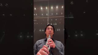 Who’s that hautbois playing oboe music shortsvideo [upl. by Shapiro]