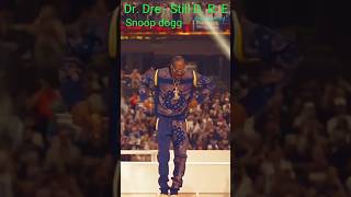 Snoop Dogg CWalk 💯 snoopdogg rap cwalk oldschool hiphop fypviralシ [upl. by Laerdna]