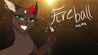 Fireball MEME [upl. by Eul56]