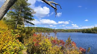 Hiking the Delaware Water Gap  Fall Foliage 2023 [upl. by Desberg]