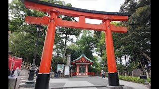 Fushimi Inari Entrance 4K Walk  Kyoto  伏見稲荷大社 [upl. by Gnagflow237]