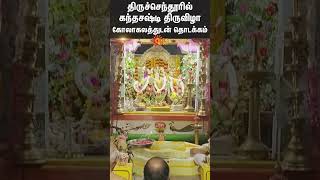 Kanda Shasti Festival Started  Thiruchendur Murugan Temple  Devotees  Garlands  Fasting [upl. by Sillyhp153]