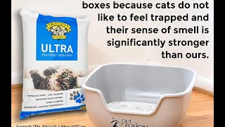 Review Dr Elseys Ultra Premium Clumping Cat Litter [upl. by Rehpotsyrhc]