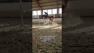 Keep going 🔥❤️‍🔥 equestrian horse horses pony pferde cheval hest trending funny hest [upl. by Cassiani261]