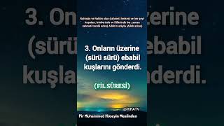 FİL SÛRESİ ♥️PİR MUHAMMED HÜSEYİN MEALİNDEN [upl. by Maram]