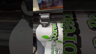 Vinyl plotter at half speed music vinylwrap sticker workhard [upl. by Nehgam747]