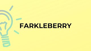 What is the meaning of the word FARKLEBERRY [upl. by Boot983]