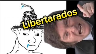 Milei contra sus seguidores son quotlibertaradosquot [upl. by Oiredised642]