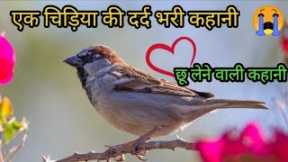 एक चिड़िया की दर्द भरी कहानी  New Hindi Kahani  Motivation New Story  motivation new [upl. by Marlee]