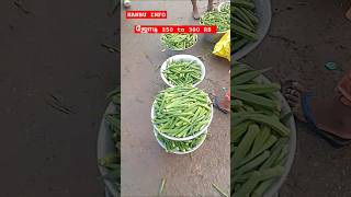 💥🌱🍆 காய்கறி மார்க்கெட் காய்கறி வியாபாரம் 🌱🍆💥 hanbuinfo5184 [upl. by Nelav]