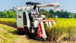 Kubota Pro588 combine harvester II Kubota mini harvester [upl. by Asyla]