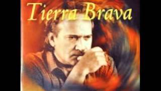 Frank Fernandez 3Tema de Amor Tierra Brava [upl. by Hnacogn]