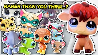 The Phenomenon of Exclusive LPS  Littlest Pet Shop Deep Dive [upl. by Sutsugua]