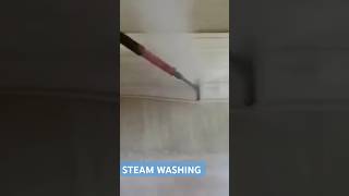 STEAM WASHING WORK STEAM CLEAN carcareservices automobile carcleaningservice detailing [upl. by Gamin127]