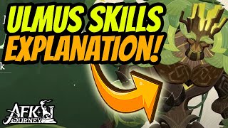 New Hero Ulmus Revealed Skills Explanation He Looks Strong AFK Journey Guide afkjourney [upl. by Weinreb]