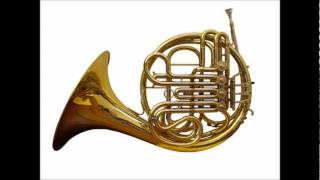 Mozart  Horn Concerto No 2 in E flat K 417 complete [upl. by Pulsifer]