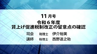 月刊DVD 速報・税務セミナー 2024年11月号「令和6年度 賃上げ促進税制改正の留意点の確認」ダイジェスト [upl. by Bubalo]