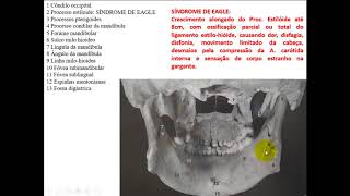 ANATOMIA ÓSSEA DA CABEÇA PARA ODONTOLOGIA PARTE 2 [upl. by Kerwinn]