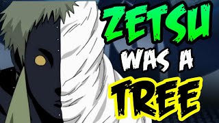 ZETSU The Embodied Will  Naruto Discussion  Tekking101 [upl. by Eelrac]