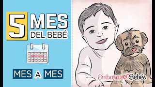 📆👶🏻 QUINTO MES del bebé  5 MES  Desarrollo y cuidados [upl. by Parry74]