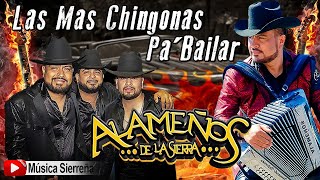 POPURRI ALAMEÑOS DE LA SIERRA  LAS MAS CHINGONAS PA BAILAR MIX 2025 [upl. by Fotinas]