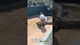 Zoo keeper regretted why he came to work that day animals crocodile [upl. by Edlitam]