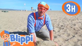 Super Sunny Beach Day  BLIPPI  Kids TV Shows  Cartoons For Kids  Fun Anime  Popular video [upl. by Wartow]