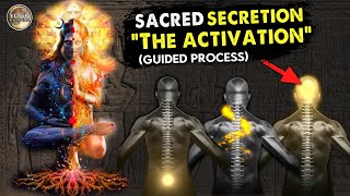 Sacred Secretion Activation  “Activate the Seed” Guided Meditation  Pineal Gland  Kundalini [upl. by Levison341]