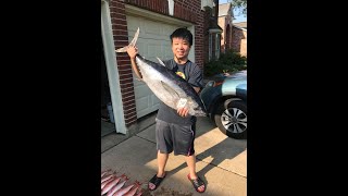 27 lbs Black Fin Tuna  30 Hours Galveston Party Boat [upl. by Sascha]