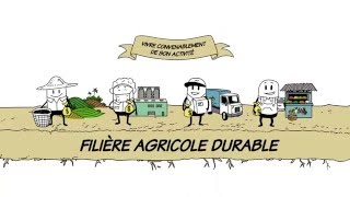 Questce quune filière agricole durable [upl. by Romeyn339]