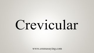 How To Say Crevicular [upl. by Crescen]