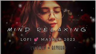 Mind Relaxing  Lofi Mashup 2024  Slowed Reverb  Magical Music 01 [upl. by Kerrill]