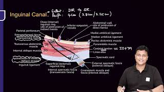 Abdomen Anatomy RR Azam sir [upl. by Noseaj]