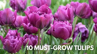 10 MustGrow Tulips [upl. by Dinesh]