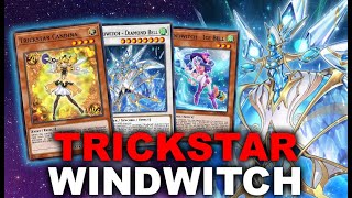 MAKE THE META BURN TRICKSTAR WINDWITCH Combo Guide Deck Profile  Gameplay YuGiOh Master Duel [upl. by Sibylla]