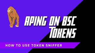 How to find New and Trending BSC Gems 🚀 Token Sniffer [upl. by Inah]