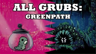 ULTIMATE Grub Guide  Greenpath 【Hollow Knight】 [upl. by Oiliduab]