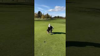 Can she birdie hole 3 at Bawtry Golf Club birdie golf bawtrygolf girlpower [upl. by Eecal]