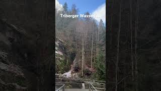 Triberg şelalesi youtubeshorts wasserfall deutschland [upl. by Enelrihs64]