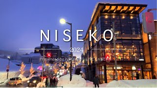 NISEKO 2024 with Laid Back Deep House  Hokkaido Live Camera [upl. by Streetman518]