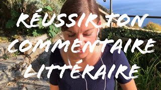 COMMENT FAIRE UN COMMENTAIRE LITTERAIRE [upl. by Asirb]