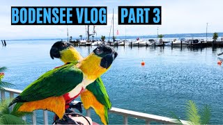 Bodensee Vlog Part 3  Die Abreise [upl. by Kulsrud217]