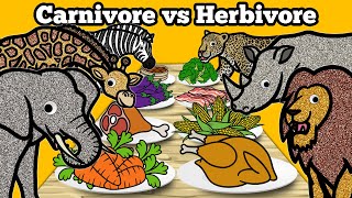 Carnivore vs Herbivore Safari Animals  Lets Draw amp Color Wild Animals and Learn Fun Animal Facts [upl. by Campy]