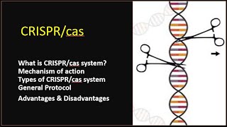 CRISPRCAS technology explained  Gene editing technique Part3 [upl. by Adelpho]