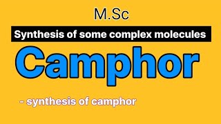 Camphor  Synthesis of camphor  synthesis of some complex molecules  MSc [upl. by Kalil]