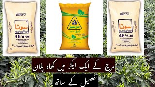 Fertilizer plan for the Chilli Crop  Dap Nitrophos and Urea Potash complete information [upl. by Akeme841]