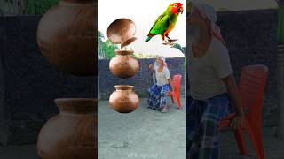 Rounding clay matkas to Duck Peacock Pigeon amp Parrot  Birds names magic video [upl. by Ssalguod499]